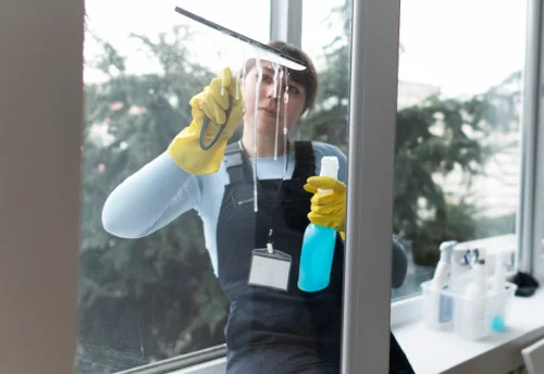 Nettoyage de vitres intérieures et extérieures à Esplantas-Vazeilles